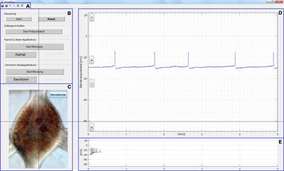Motivation and Technology Acceptance in a Neuroscience Student Lab—An Empirical Comparison Between Virtual Experiments With and Without Hands-on Elements